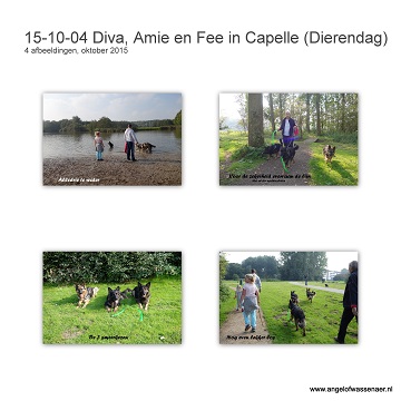 Middagje wandelen met Fee, Diva en Amie in Cappelle aan den IJssel. Wat een heerlijke ruimte hier